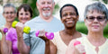 Senior Strength 70+ |12-Week Full-Body Resistance Training Program